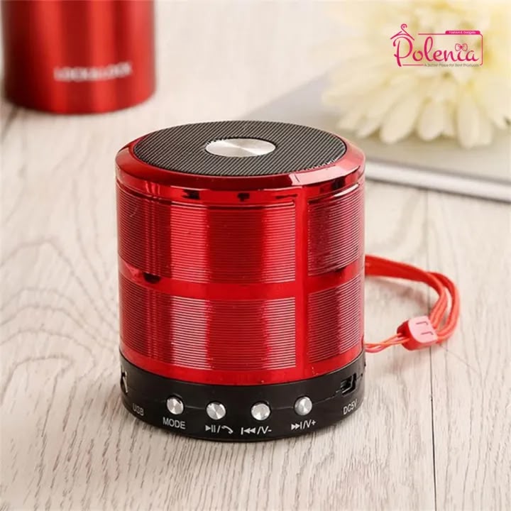 Mini Speaker